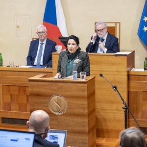 სალომე ზურაბიშვილი
