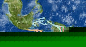 60 000 წლის წინანდელი ისტორია — როგორ მოხვდნენ ადამიანები ავსტრალიაში