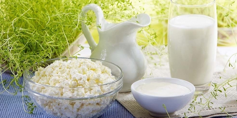 რძის პროდუქტები