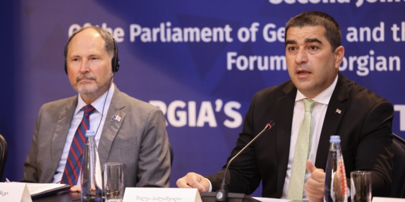 შალვა პაპუაშვილი